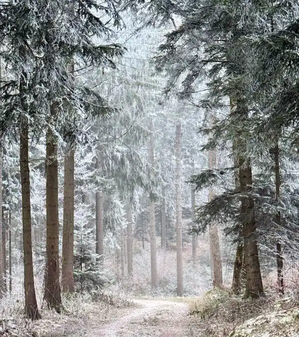 Vor allem bleiben uns drei Gewissheiten
