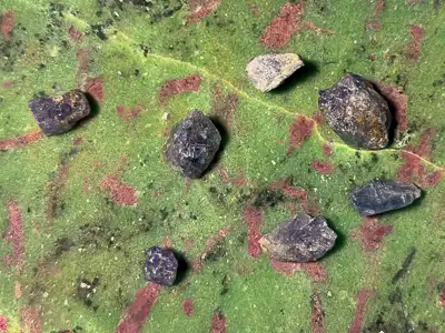 Tansanit Rohkristalle auf farbigem Edelstein in Szene gesetzt von UNIKATUM, Fotograf Baselland
