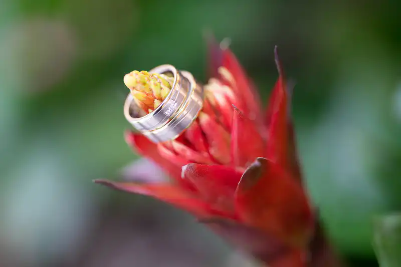 Eherringe, fotografiert auf einer Blume - Berufsfotograf für Hochzeiten UNIkATUM