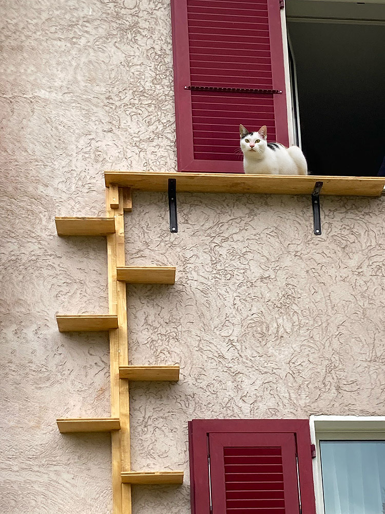 Katzenleiter auf Mass aus Tannenholz